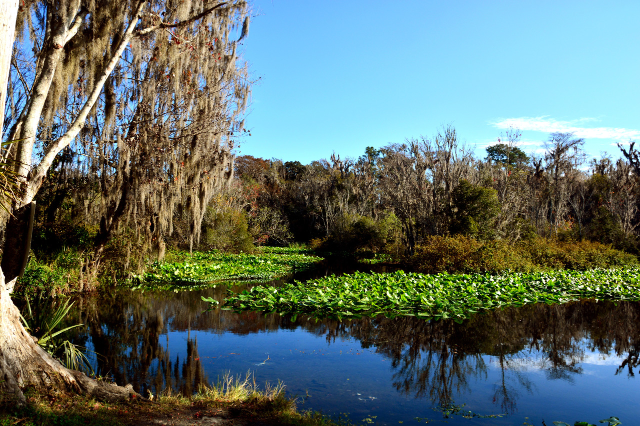 2014-01-09, 041, Along the River