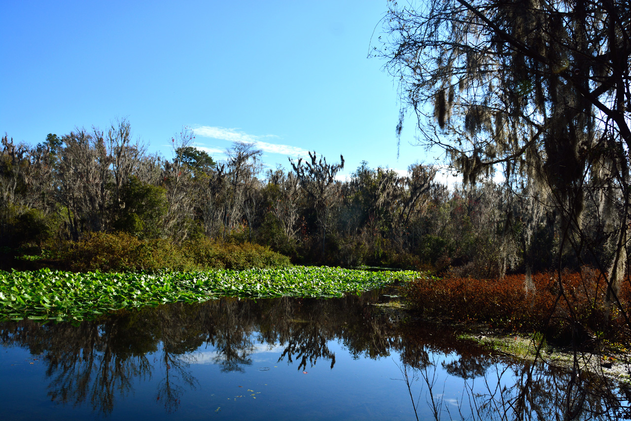 2014-01-09, 042, Along the River