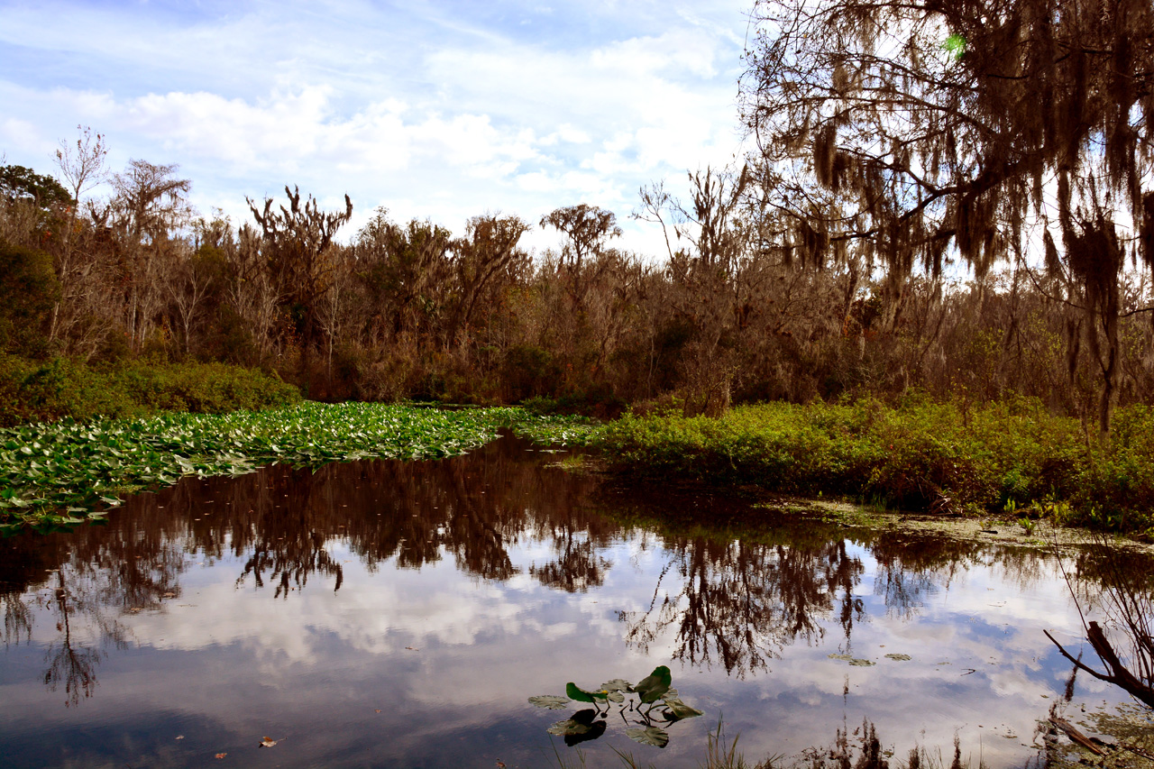 2014-01-09, 043, Along the River
