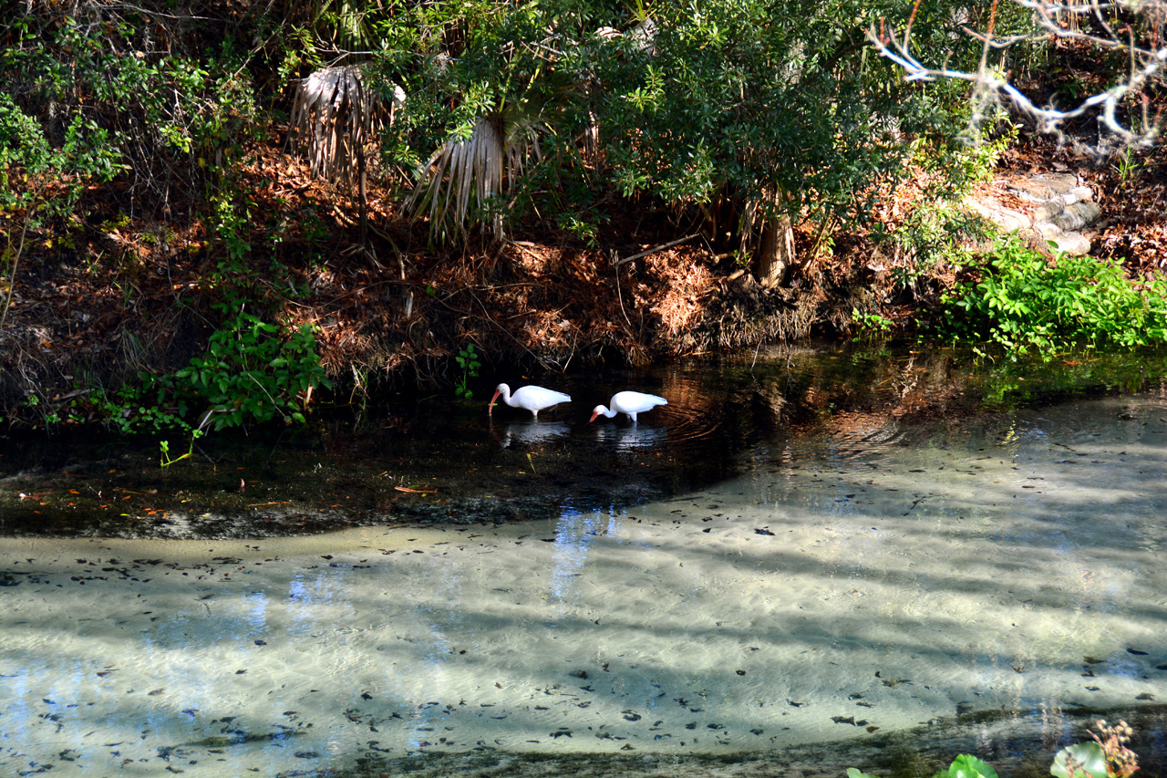 2014-01-09, 051, Along the River