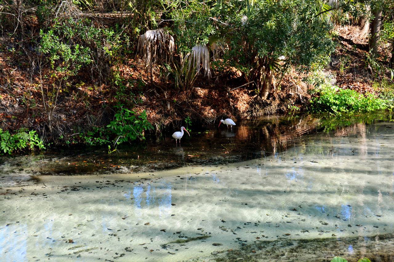 2014-01-09, 052, Along the River