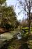 2014-01-09, 001, Along the River