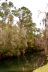 2014-01-09, 003, Along the River