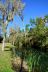 2014-01-09, 021, Along the River