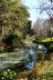 2014-01-09, 024, Along the River