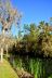 2014-01-09, 025, Along the River