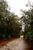 2014-01-09, 027, Along the River