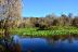 2014-01-09, 038, Along the River