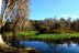 2014-01-09, 041, Along the River
