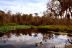 2014-01-09, 043, Along the River