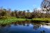2014-01-09, 044, Along the River