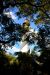 2014-01-03, 001, St. Augustine Lighthouse, FL