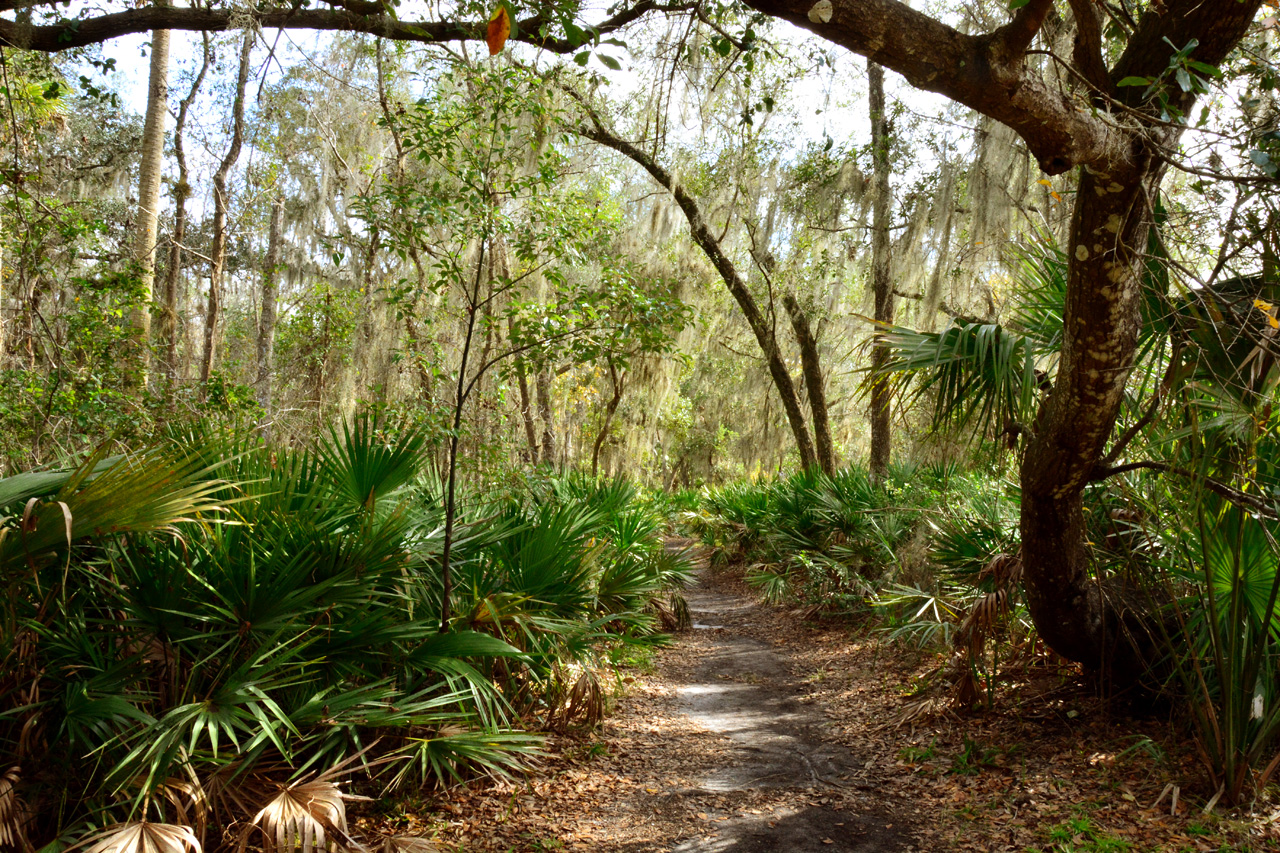 2014-01-12, 002, Nature Trail
