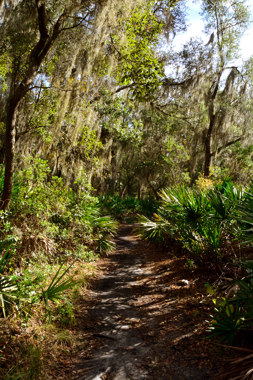 2014-01-12, 003, Nature Trail