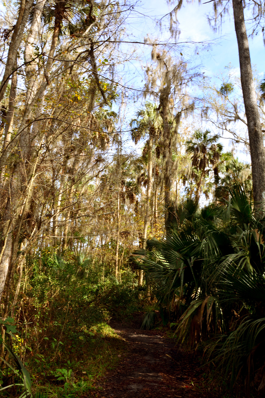 2014-01-12, 007, Nature Trail