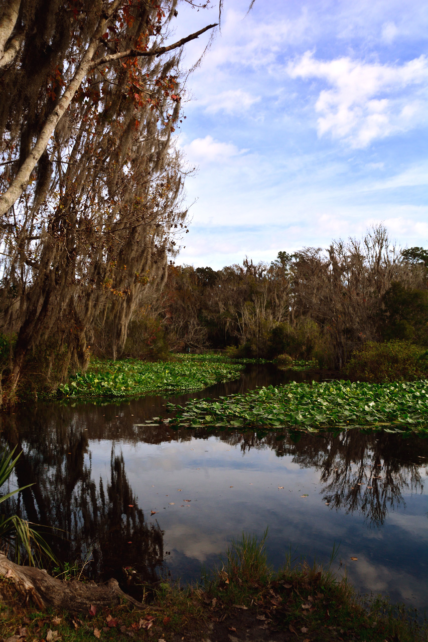 2014-01-12, 011, Nature Trail