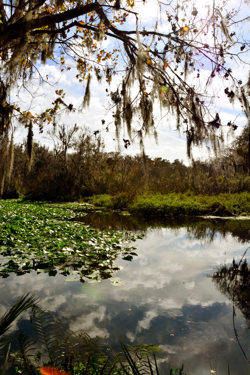 2014-01-12, 012, Nature Trail