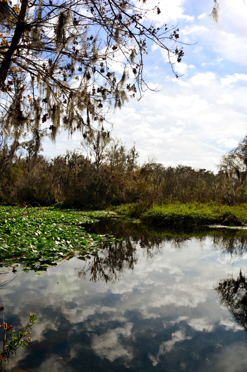 2014-01-12, 014, Nature Trail