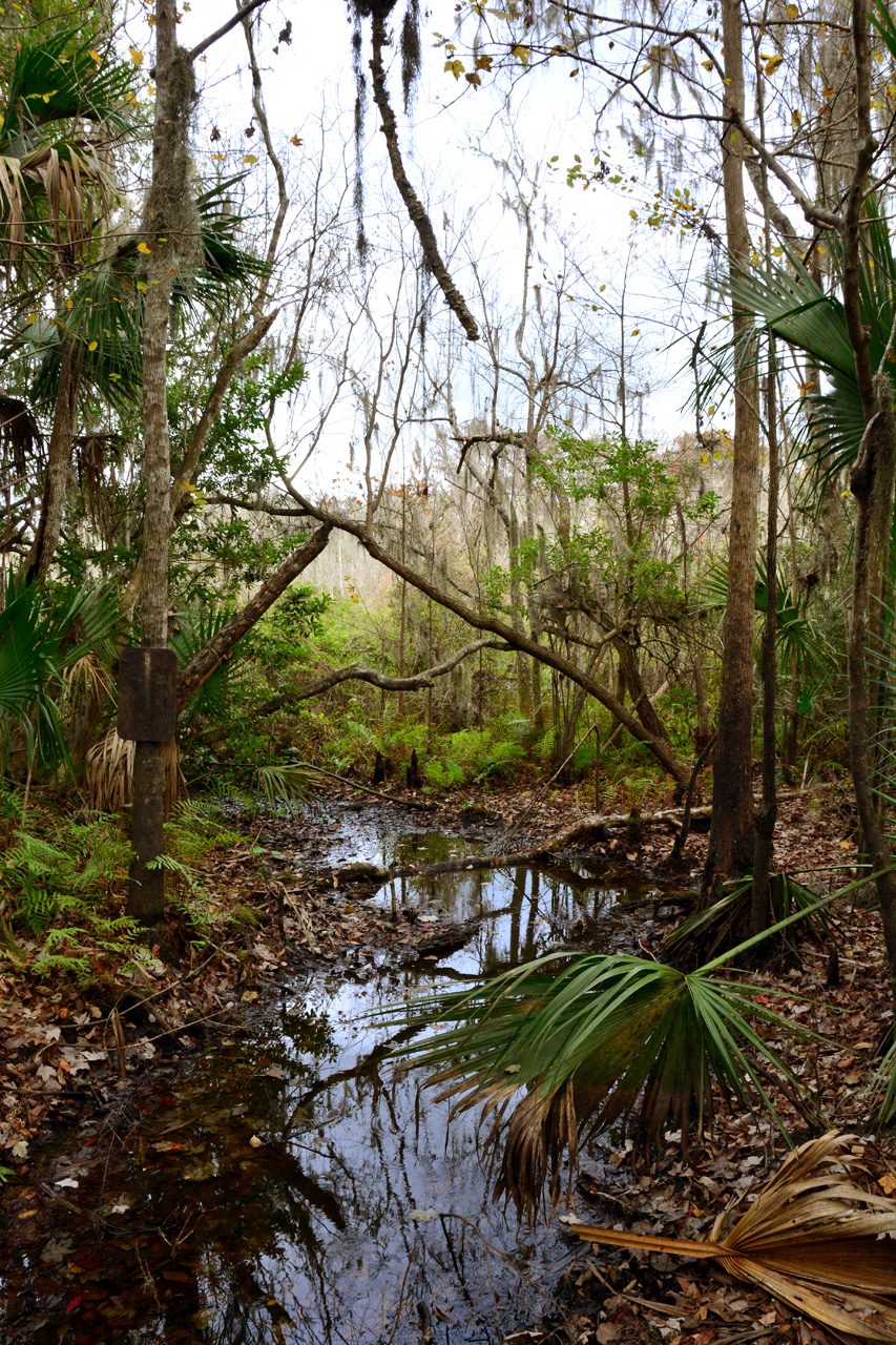 2014-01-12, 017, Nature Trail