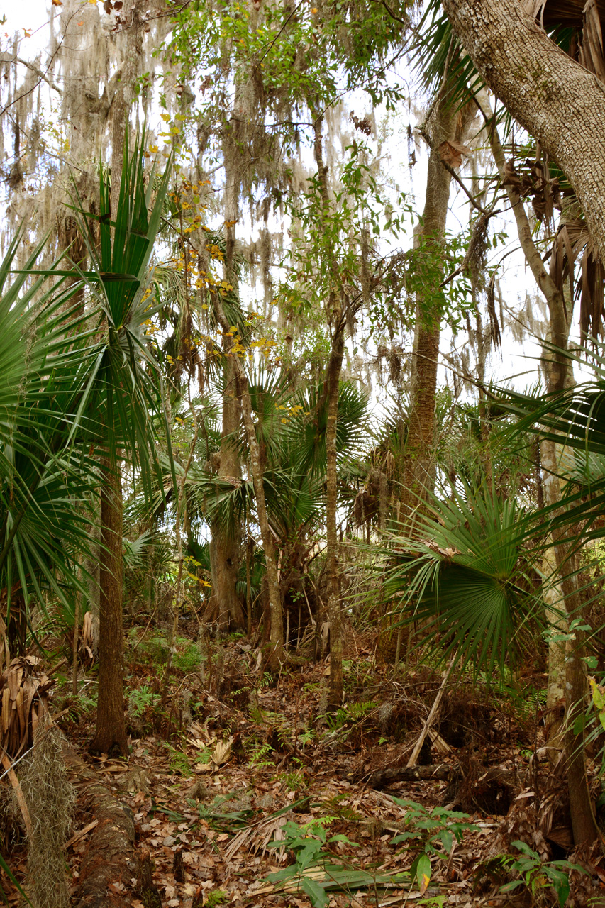 2014-01-12, 018, Nature Trail