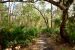 2014-01-12, 002, Nature Trail