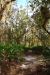 2014-01-12, 004, Nature Trail