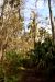 2014-01-12, 007, Nature Trail