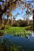 2014-01-12, 016, Nature Trail
