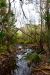 2014-01-12, 017, Nature Trail