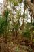 2014-01-12, 018, Nature Trail