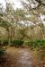 2014-01-12, 019, Nature Trail