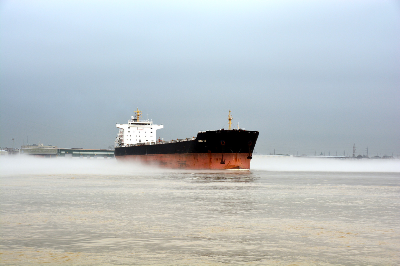 2014-02-25, 015, The Mississippi River, New Orleans, LA