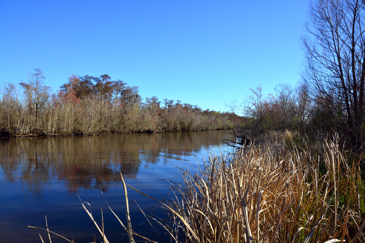 2014-02-27, 013, The Marceffo Canal and Levee