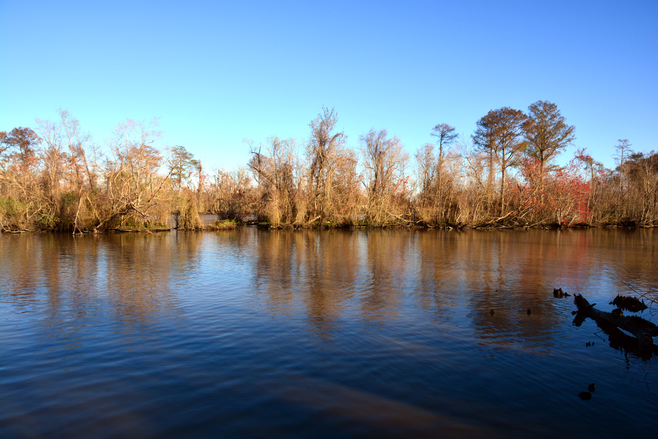 2014-02-27, 014, The Marceffo Canal and Levee