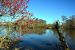 2014-02-27, 011, The Marceffo Canal and Levee