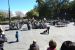2014-02-27, 005, Street Shows in Jackson Square