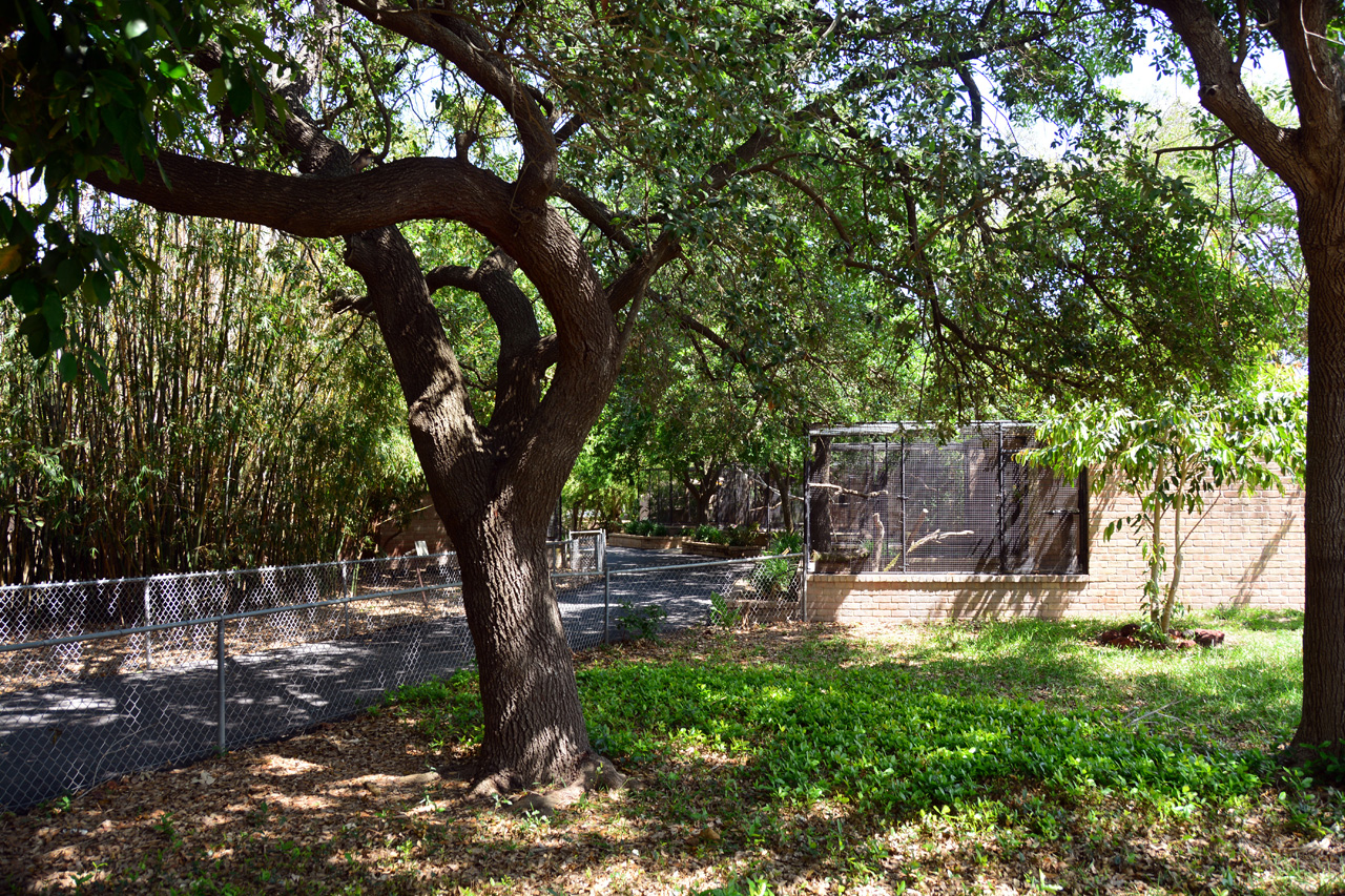 2014-04-23, 019, Gladys Porter Zoo, Brownsville, TX 