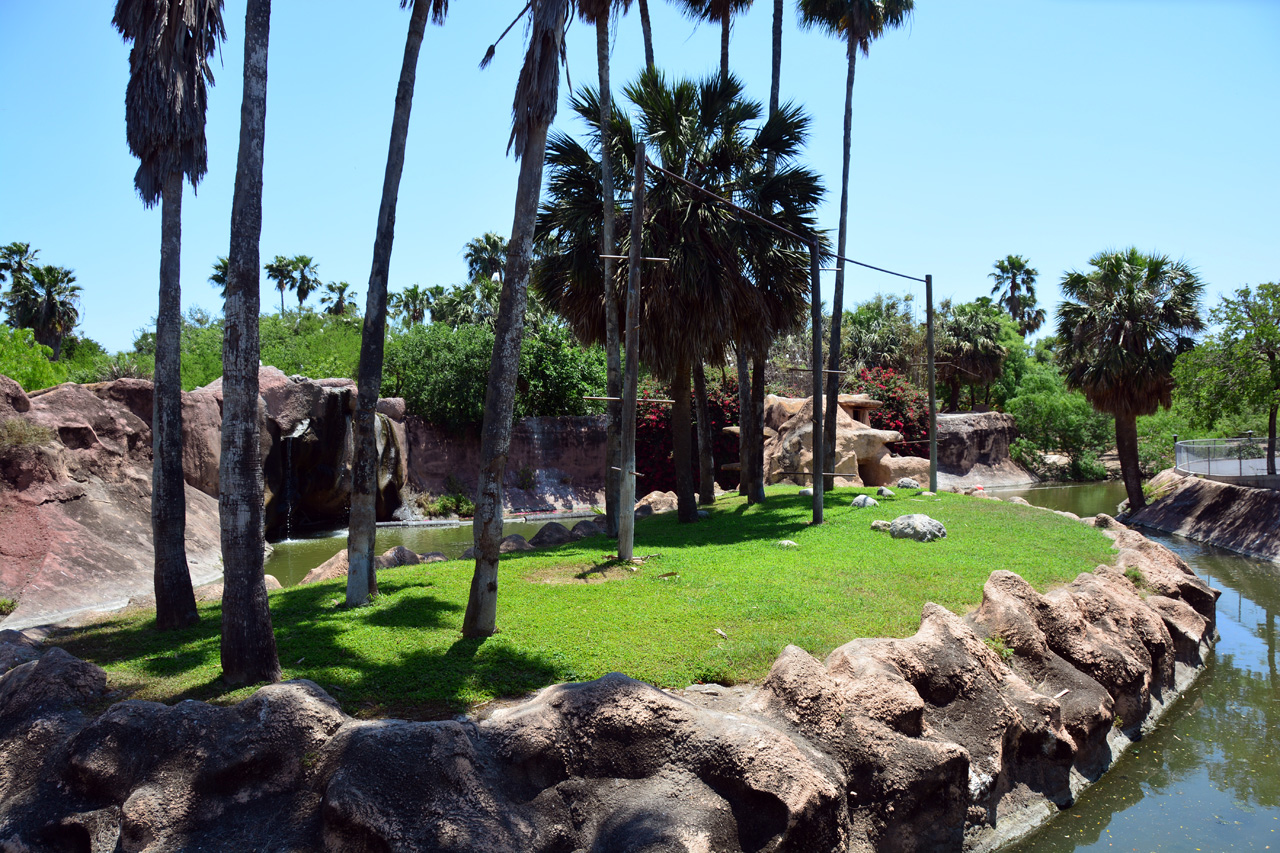 2014-04-23, 041, Gladys Porter Zoo, Brownsville, TX 