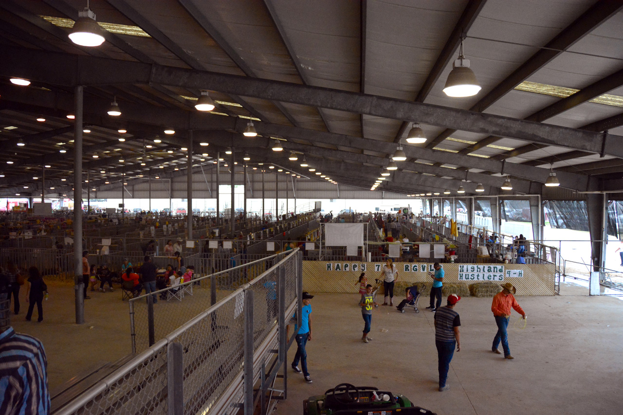 2014-03-14, 020, Judging of Steers, RGVLS, TX