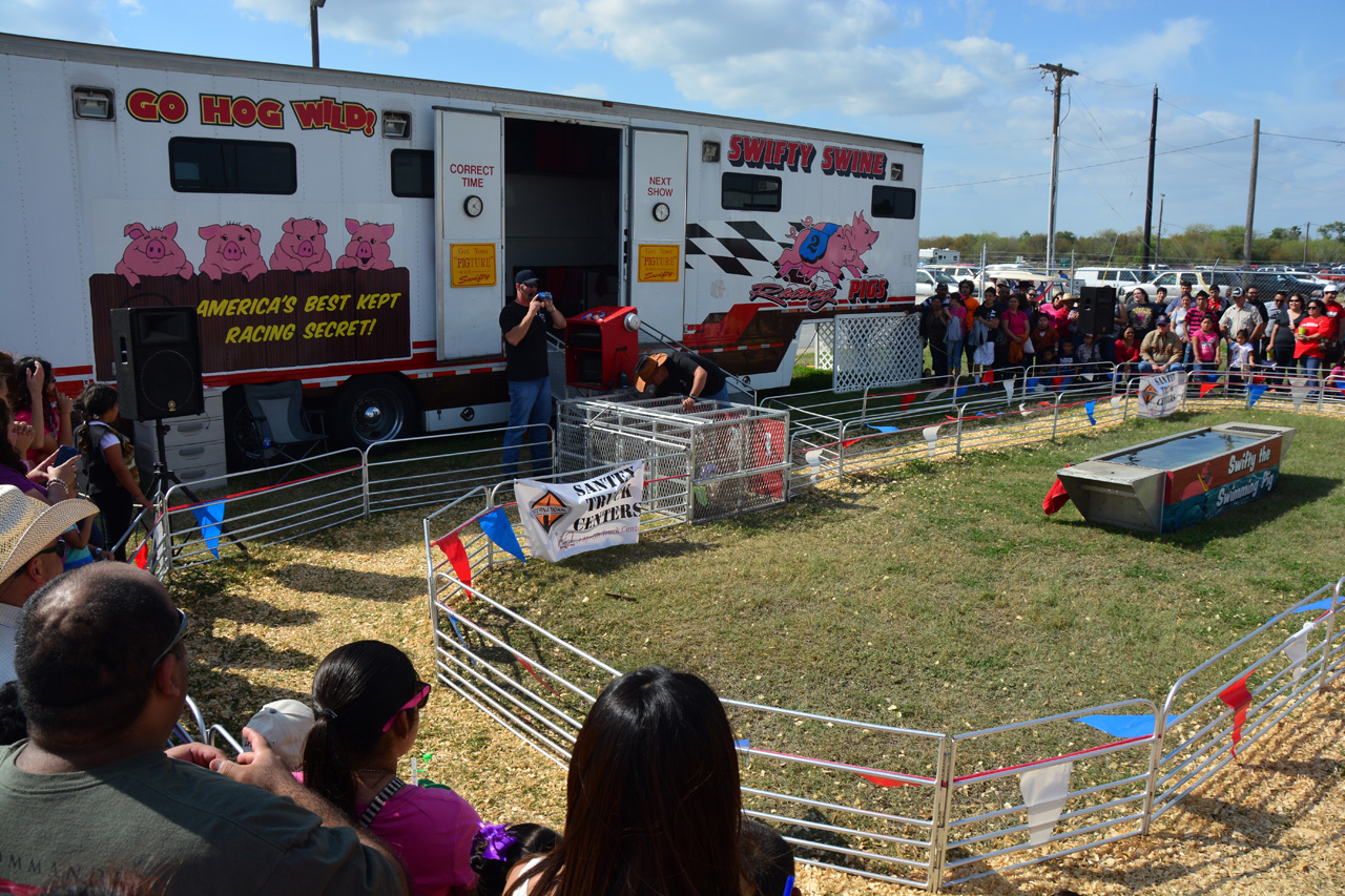 2014-03-14, 070, Swine Racing, RGVLS, TX