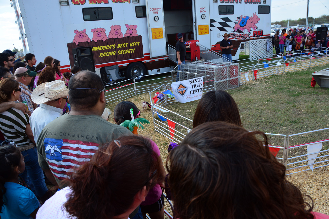 2014-03-14, 071, Swine Racing, RGVLS, TX