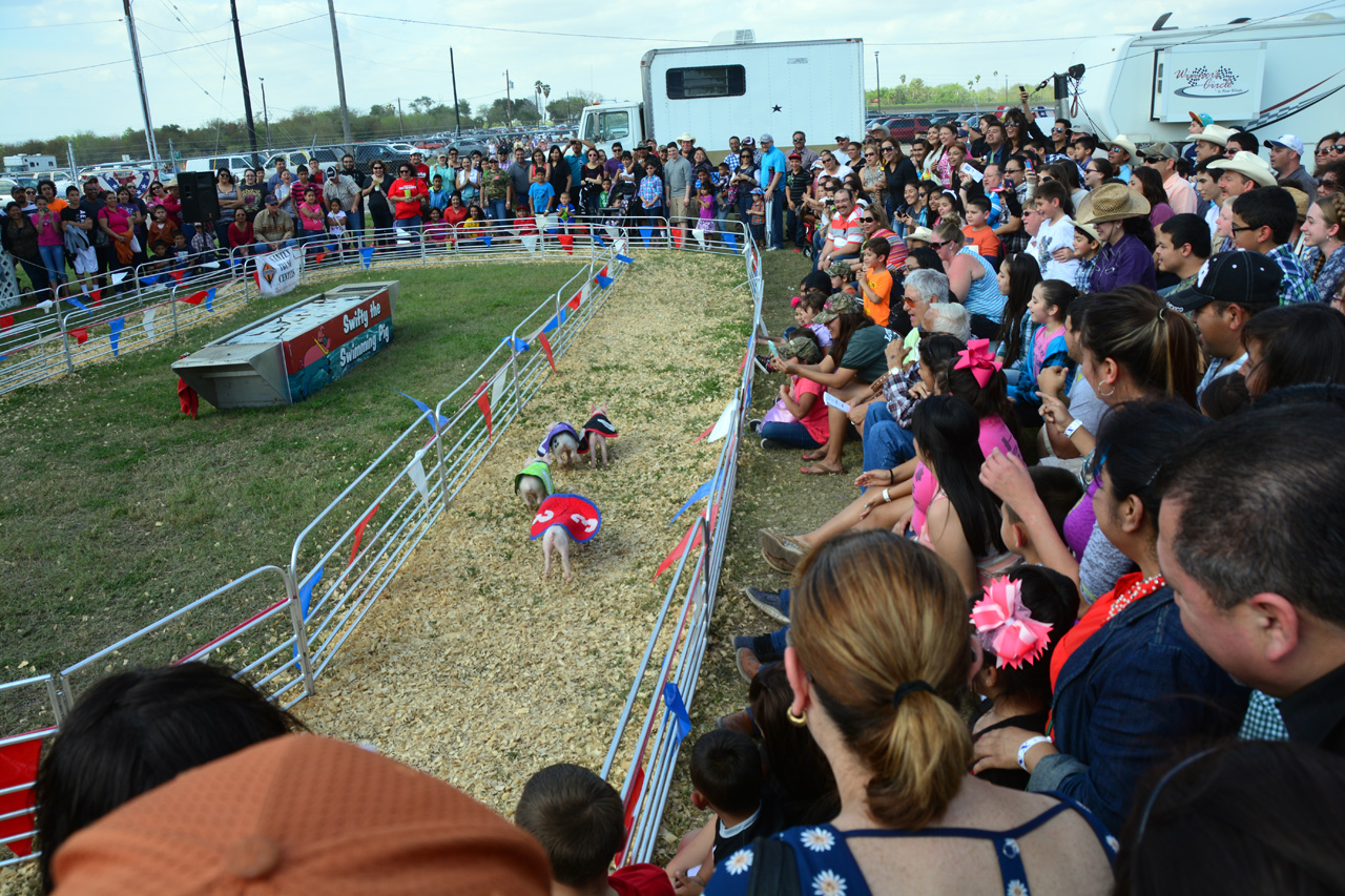 2014-03-14, 073, Swine Racing, RGVLS, TX