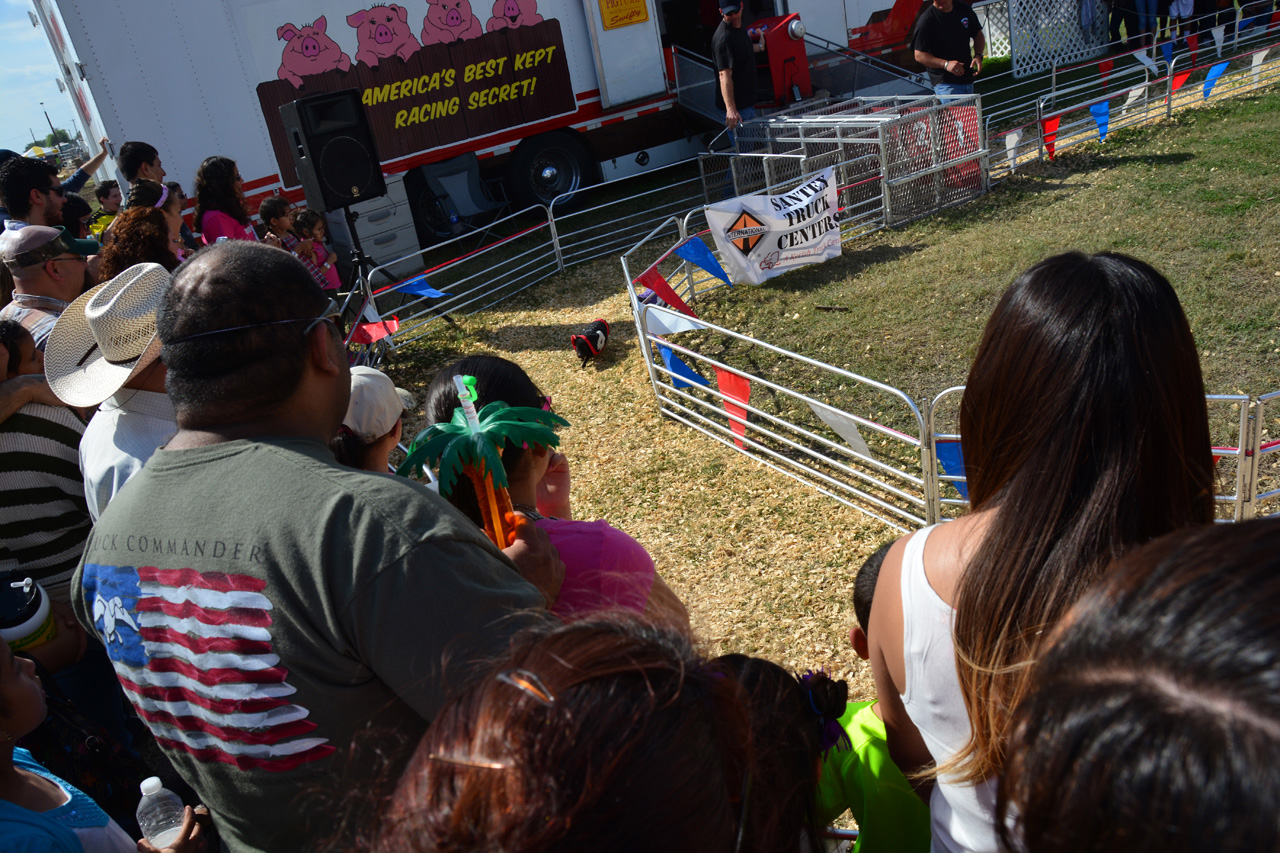 2014-03-14, 078, Swine Racing, RGVLS, TX