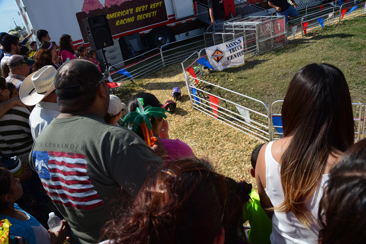2014-03-14, 079, Swine Racing, RGVLS, TX