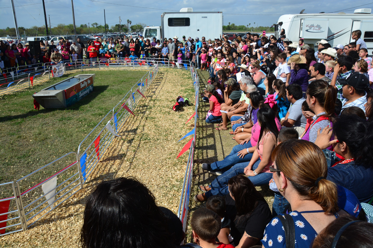 2014-03-14, 081, Swine Racing, RGVLS, TX