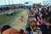 2014-03-14, 073, Swine Racing, RGVLS, TX
