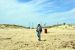 2014-04-09, 007, Isla Blanca Park, TX