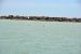 2014-04-09, 027, Dolphins, S Padre Island, TX