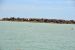 2014-04-09, 028, Dolphins, S Padre Island, TX