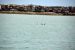 2014-04-09, 030, Dolphins, S Padre Island, TX